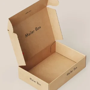 Corrugated Box