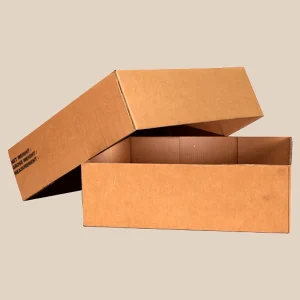 Telescope Corrugated Box